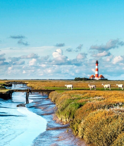 美丽新世界56话土豪漫画免费