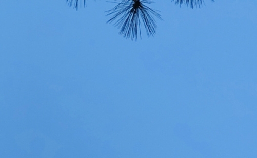 巨一科技股票