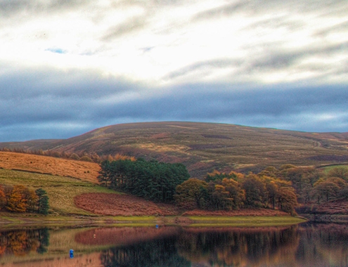 世界名校排名前100名