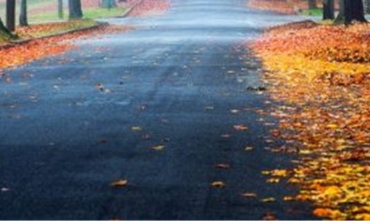 江西师范大学科技学院在哪个城市