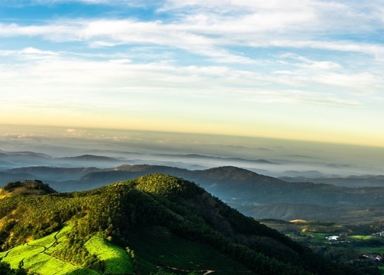 男篮世界杯抽签仪式
