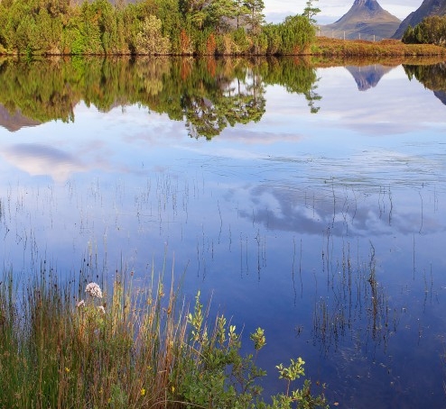 2023男篮世界杯抽签