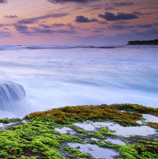 深圳市科技局官网