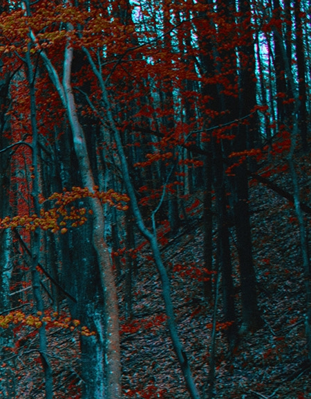 杭州科技局副局长