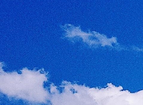 仙域科技霸主百度百科
