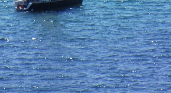 多伦科技股份有限公司山东分公司招聘