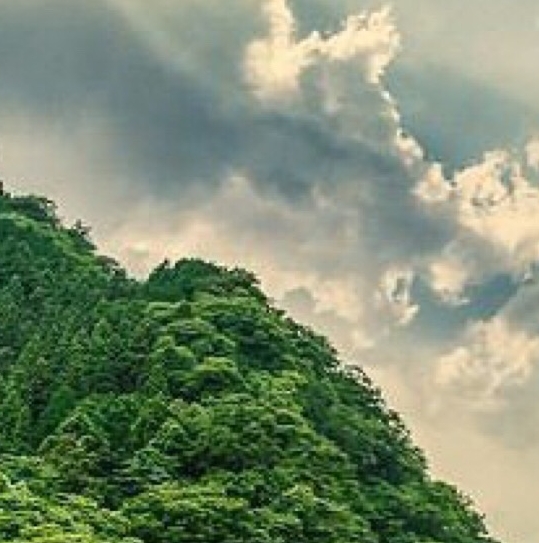 世界水日宣传盛典：活动总结与精彩图片一览，共同呵护水资源