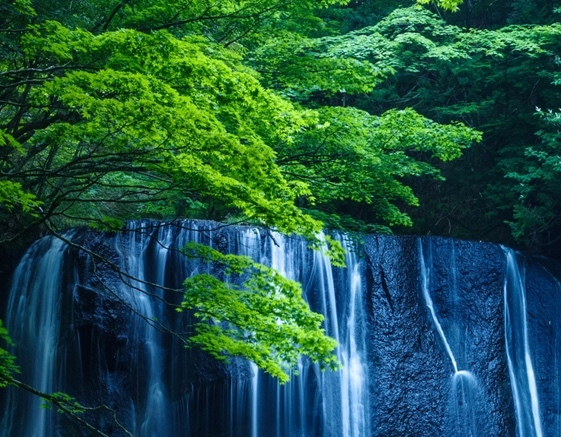 科技局是个好单位吗