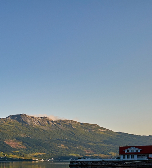 南方科技大学招生网