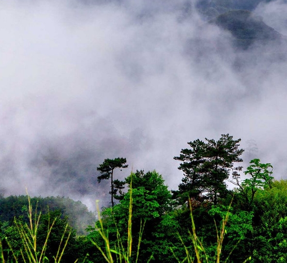 商丘学院应用科技学院教务处官网