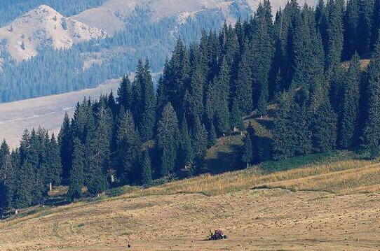 杭州绿洁水务科技股份有限公司怎么样