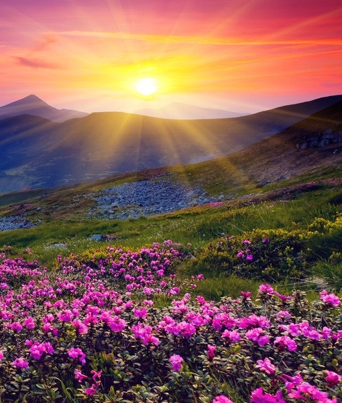 没有黄段子的世界