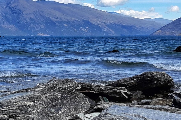 四方科技小说在线阅读