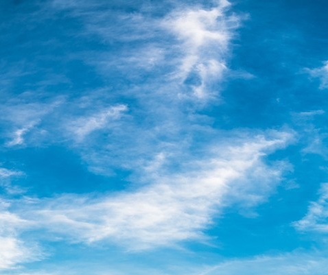 迷你世界s君鬼吹灯之牧野诡事