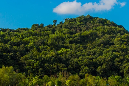广西科技大学柳东校区二期工程