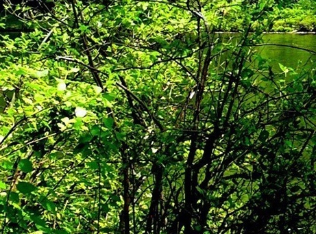 江西方兴科技有限公司是不是国企