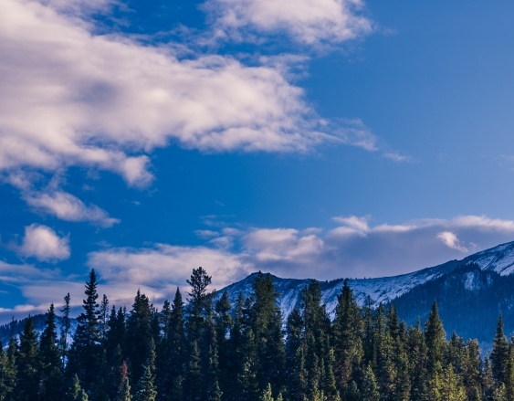 寄云科技是外包吗