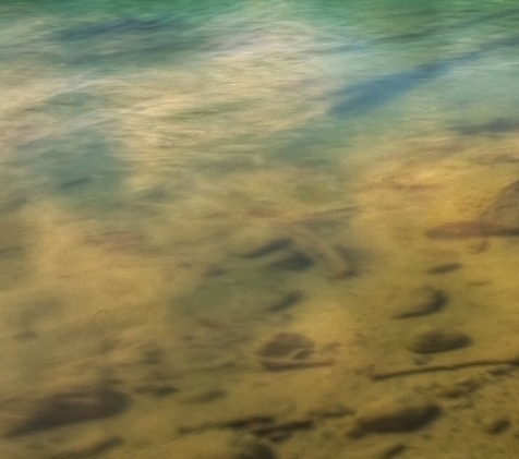 深圳市宝视佳科技有限公司最新招聘信息