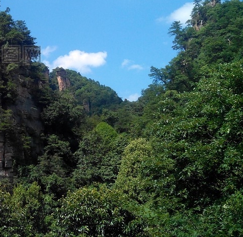 在世界尽头等你 电影