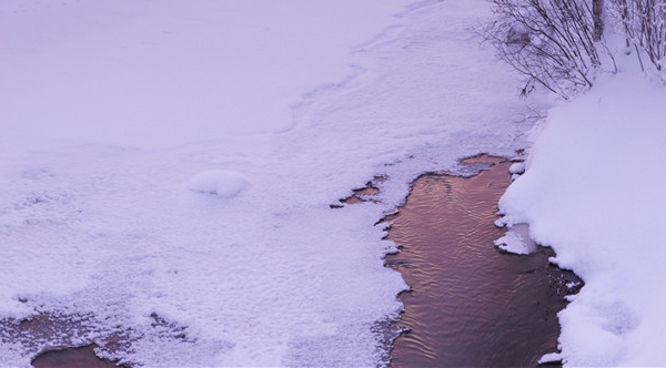 河北科技师范学院分数线体育生