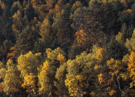 异世界道门图片大全