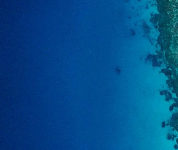 深圳市科技局领导班子成员