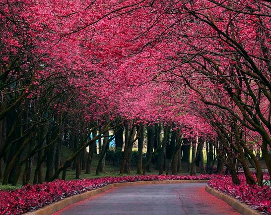 刘翔打破世界纪录的意义