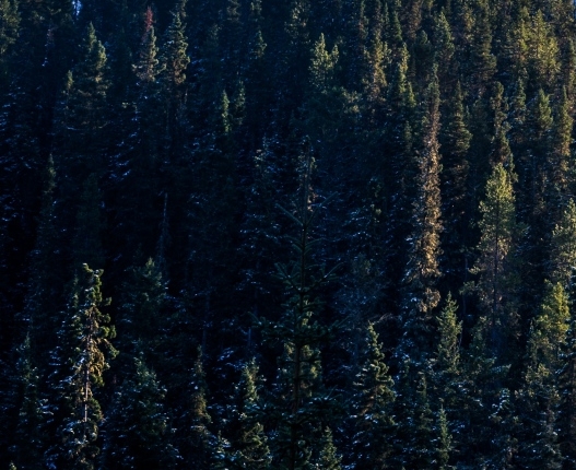 陕西聪捷电子科技有限公司