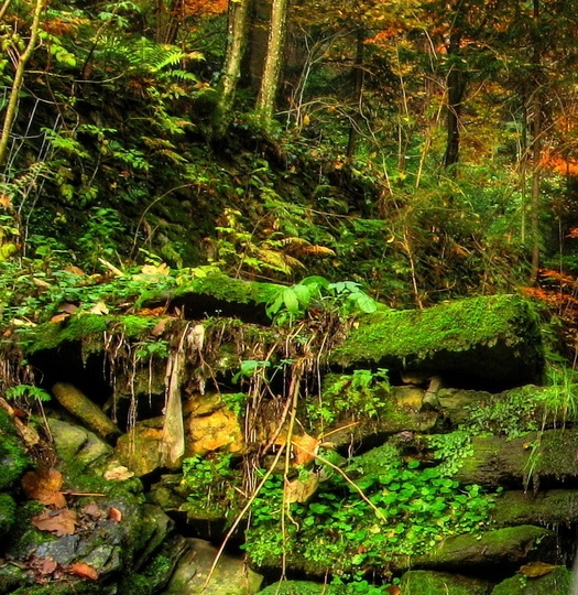 世界四大军校是哪四个