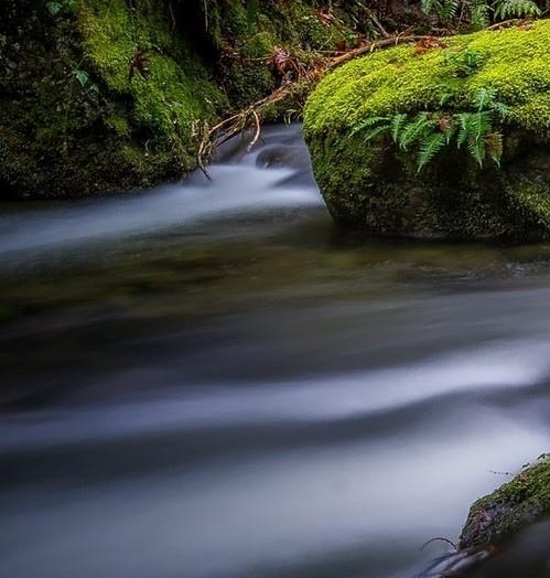 武汉锐奥特科技有限公司招聘