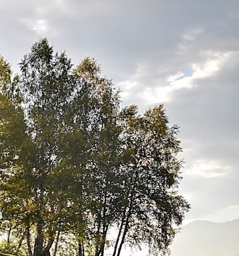 完美世界漫画免费阅读下拉式六漫画