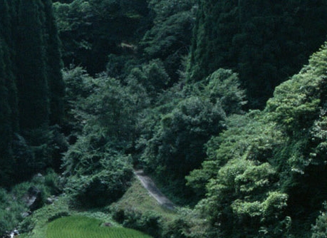 北京朝阳区科技公司有哪些