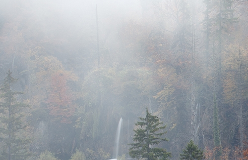 二次元的世界我不懂