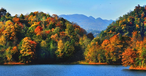 杭州绿洁环境科技股份有限怎么样