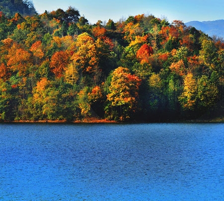 我的世界得到命令方块指令手机