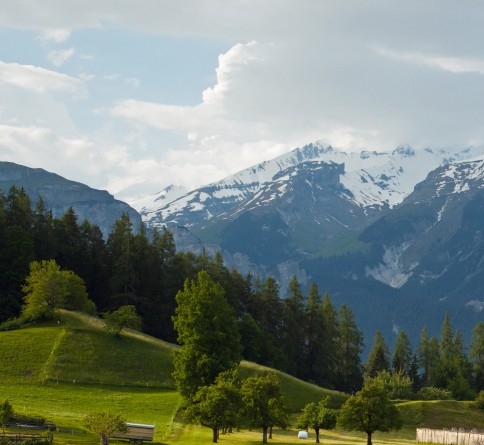 深圳市宝视佳科技有限公司招聘