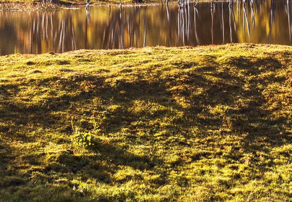 世界杯亚洲预选赛全部排名
