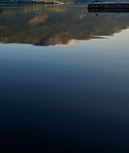 西安科技大学图书馆官网