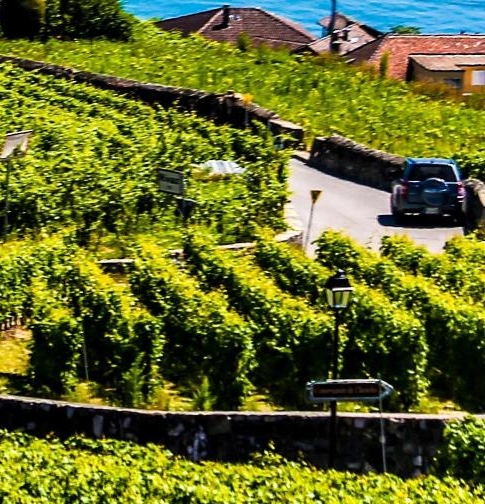 湖南农大东方科技学院学费多少