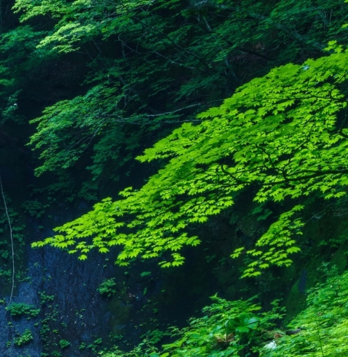 西方世界的劫难4攻略恶魔位置