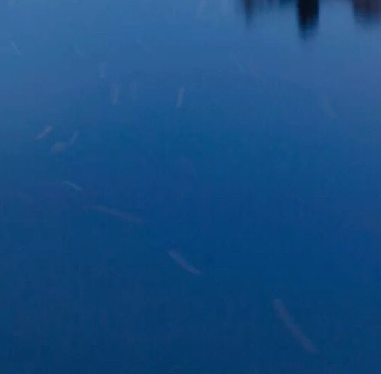 国家科技进步奖和国家科技成果奖