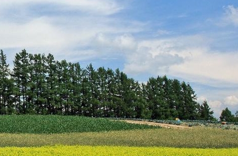 潍坊科技职业学院专业全解析-潍坊职业技术学院官方网站一览无遗