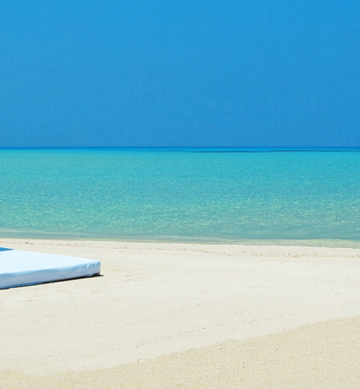 600288大恒科技传闻