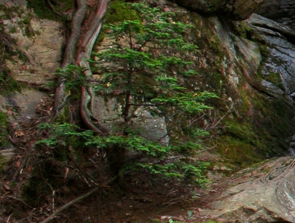 魔兽世界风景高清壁纸