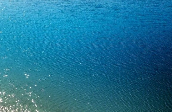 瑞声科技是国企还是外企