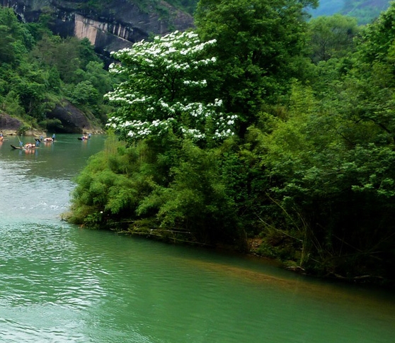 你好世界豆瓣书评一行瑠璃