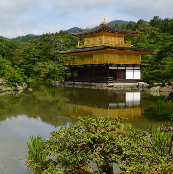 华中科技大学法学院拟录取名单