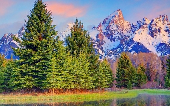 我的世界中文版泰坦蘑菇下载