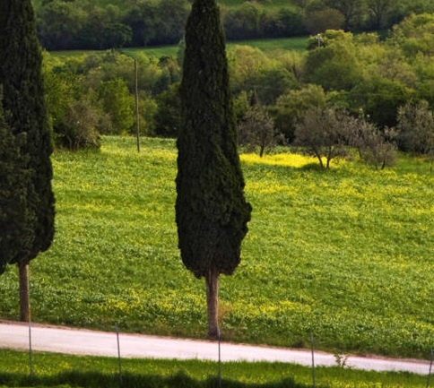 世界时钟怎么设置成北京时间