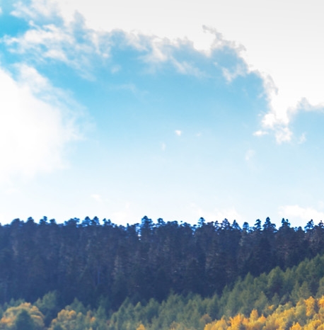 世界杯亚洲预选赛排名